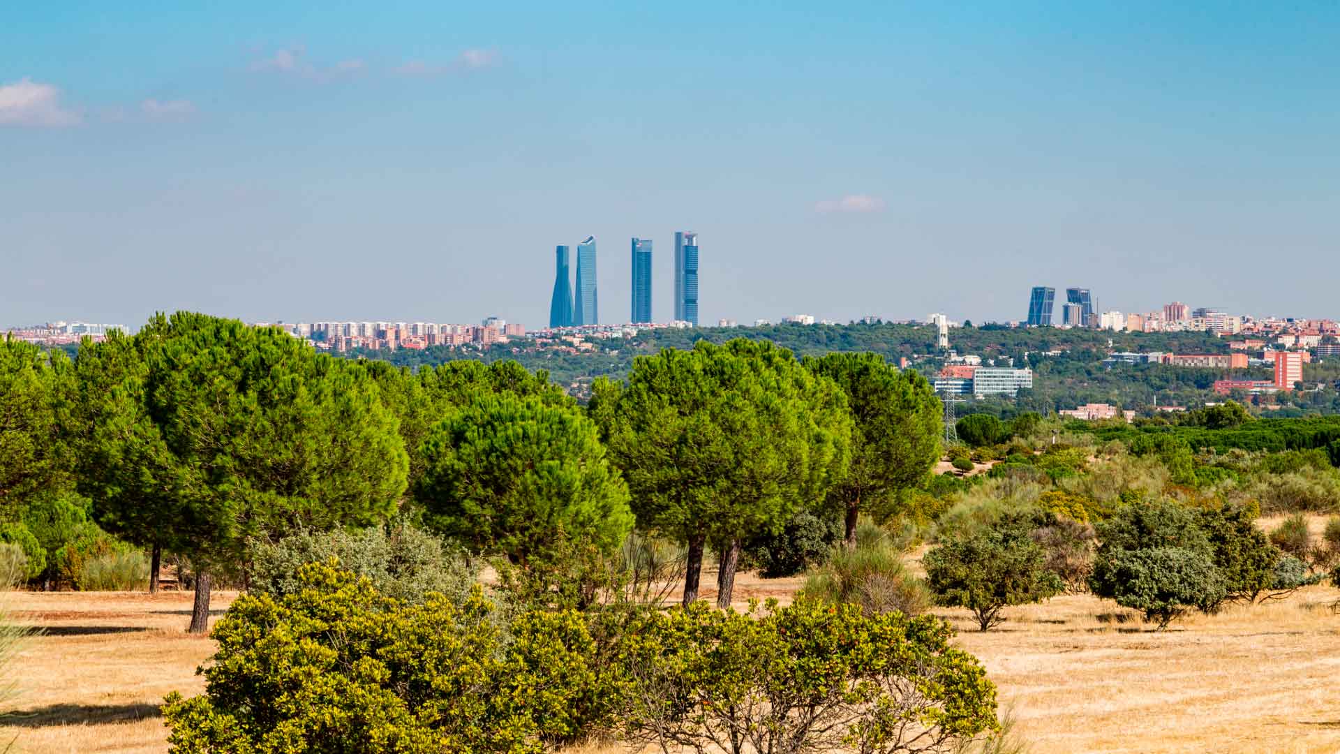 Mudanzas en Pozuelo de Alarcón